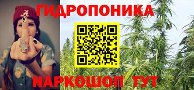 стафф Будённовск