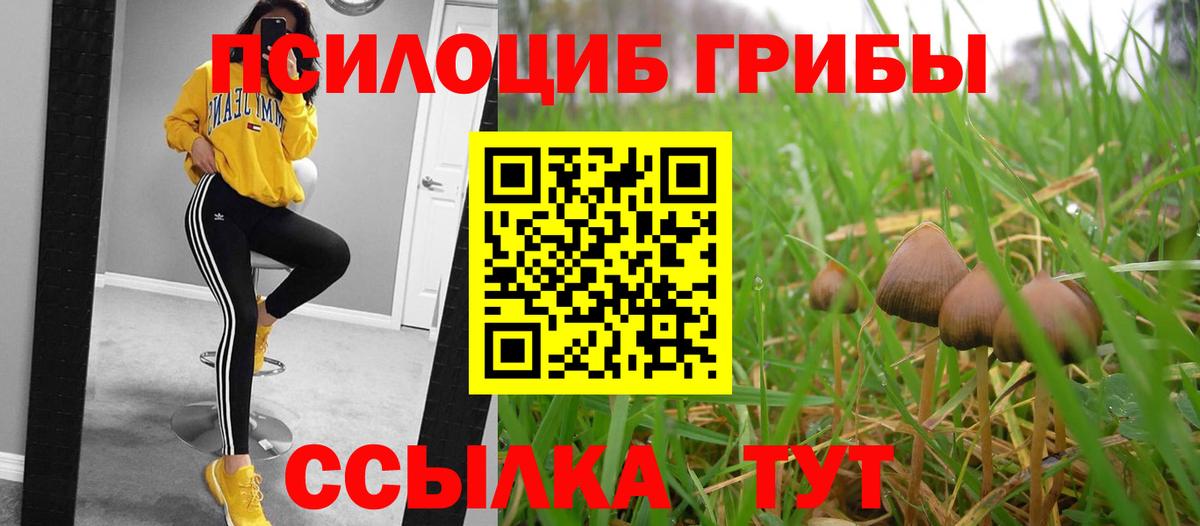 Удомля  Галлюциногенные грибы GOLDEN TEACHER  Вход с VPN  Галлюциногенные грибы Psilocybine cubensis 